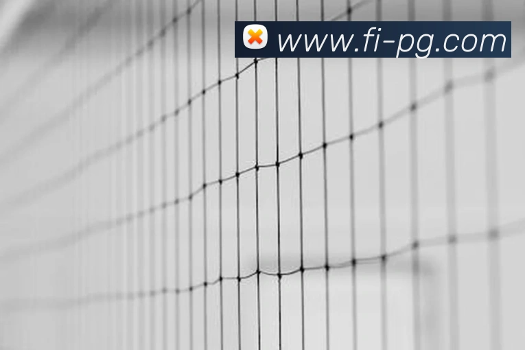 pg电子服务体系